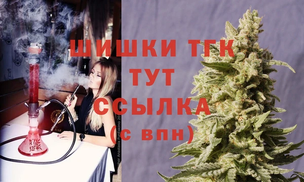 эйфоретик Бородино