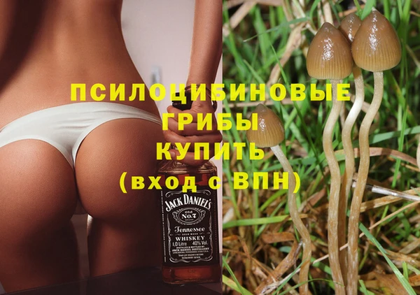 винт Бугульма