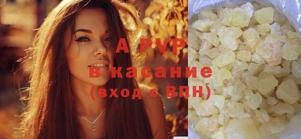 эйфоретик Бородино