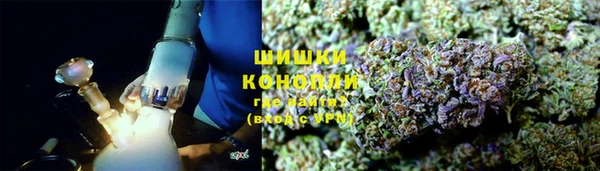 эйфоретик Бородино